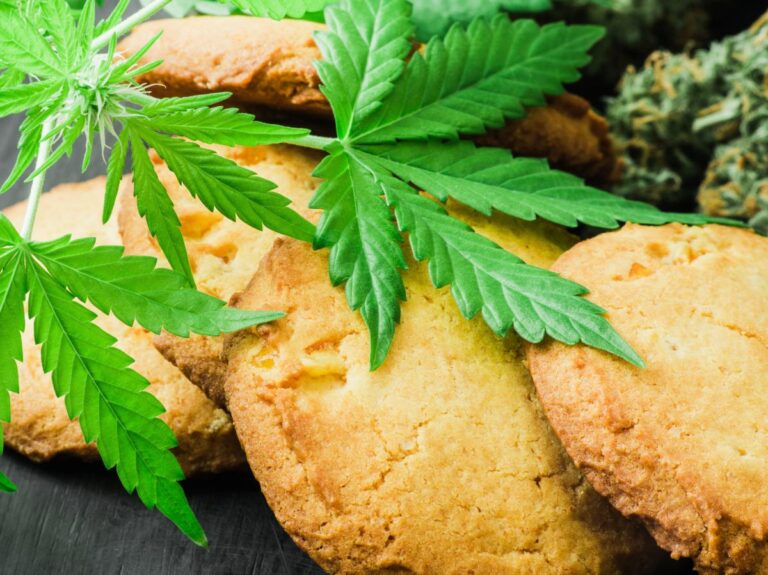 Decarboxylierung von THCA: So maximierst du die Vorteile für deine Gesundheit