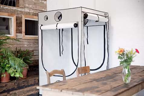 Growshop für Anfänger: Die besten Growboxen und Zubehör bei TheHookah-Grow