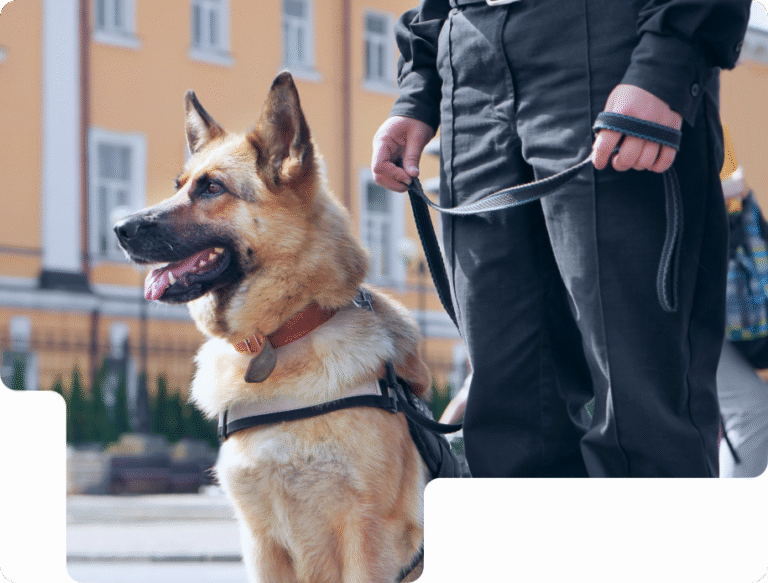 Warum der Sicherheitsdienst Brandenburg auch für Privatkunden wichtig ist