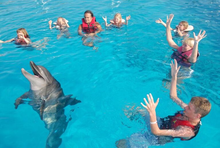 Schwimmen mit Delfinen Hurghada inkl. Schnorcheln & Korallenriff-Abenteuer
