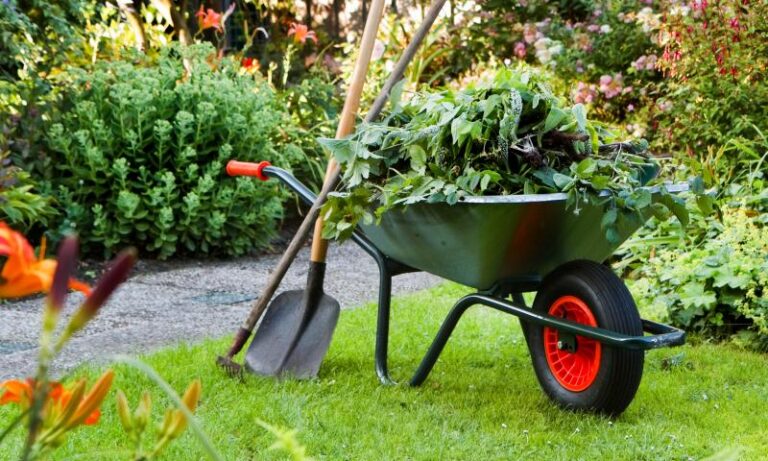 Gartenpflege Osnabrück: Rasen, Beete und Sträucher optimal pflegen
