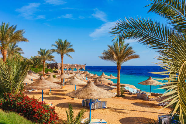 Unsere Empfehlungen für Hurghada Ausflüge: Die besten Touren für jeden Urlaubstyp